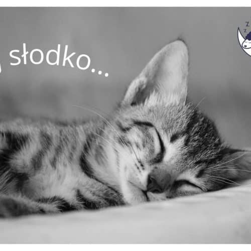 Pozdrowienia na dobranoc, które umilą Twój sen i relaks