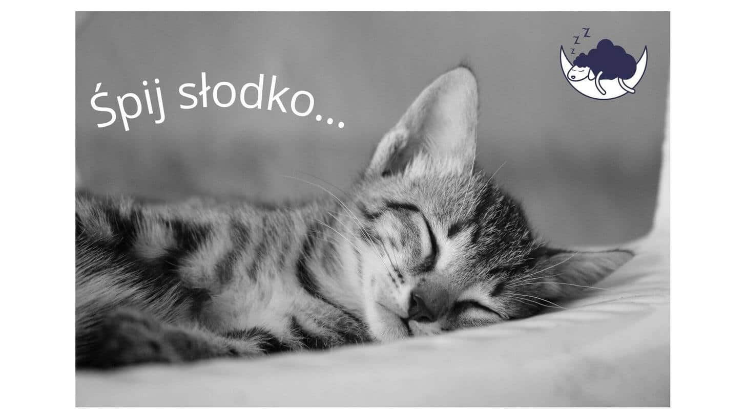 Pozdrowienia na dobranoc, które umilą Twój sen i relaks