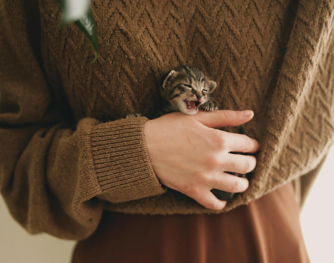 Jak uratować sfilcowany sweter i przywrócić mu dawny blask